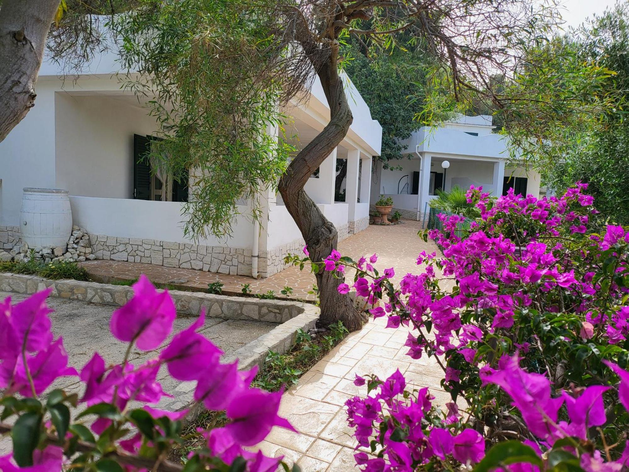 Residence Dolce Far Niente Vieste Exterior foto